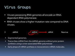 Virus Groups
 Viruses possessing RNA genomes all encode an RNA-
dependant RNA polymerase.
 RNA viruses show a higher mutation rate compared to DNA
viruses.
 Segmented genomes.
 Transcribes mRNA from the dsRNA genome without prior protein
synthesis using a virion associated RNA-polymerase
 Early phase of mRNA synthesis is monocistronic mRNA molecules.
3 dsRNA dsRNA mRNA Reovirus
 