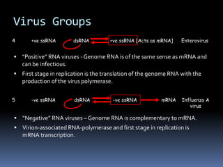 Virus Groups
 “Positive” RNA viruses - Genome RNA is of the same sense as mRNA and
can be infectious.
 First stage in replication is the translation of the genome RNA with the
production of the virus polymerase.
 “Negative” RNA viruses – Genome RNA is complementary to mRNA.
 Virion-associated RNA-polymerase and first stage in replication is
mRNA transcription.
4 +ve ssRNA dsRNA +ve ssRNA [Acts as mRNA] Enterovirus
5 -ve ssRNA Influenza A
virus
dsRNA -ve ssRNA mRNA
 