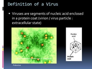 Definition of a Virus
 Viruses are segments of nucleic acid enclosed
in a protein coat (virion / virus particle :
extracellular state)
Poliovirus
 