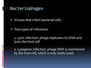 Bacteriophages
 Viruses that infect bacterial cells
 Two types of infections:
1. Lytic infection: phage replicates its DNA and
lyses the host cell
2. Lysogenic infection: phage DNA is maintained
by the host cell, which is only rarely lysed
 