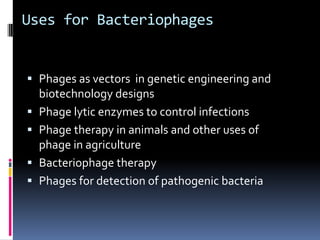 Uses for Bacteriophages
 Phages as vectors in genetic engineering and
biotechnology designs
 Phage lytic enzymes to control infections
 Phage therapy in animals and other uses of
phage in agriculture
 Bacteriophage therapy
 Phages for detection of pathogenic bacteria
 