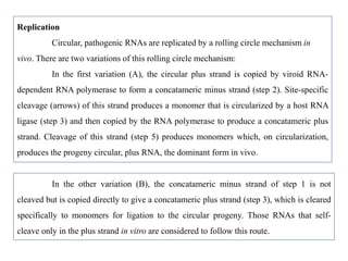 Replication
Circular, pathogenic RNAs are replicated by a rolling circle mechanism in
vivo. There are two variations of this rolling circle mechanism:
In the first variation (A), the circular plus strand is copied by viroid RNA-
dependent RNA polymerase to form a concatameric minus strand (step 2). Site-specific
cleavage (arrows) of this strand produces a monomer that is circularized by a host RNA
ligase (step 3) and then copied by the RNA polymerase to produce a concatameric plus
strand. Cleavage of this strand (step 5) produces monomers which, on circularization,
produces the progeny circular, plus RNA, the dominant form in vivo.
In the other variation (B), the concatameric minus strand of step 1 is not
cleaved but is copied directly to give a concatameric plus strand (step 3), which is cleared
specifically to monomers for ligation to the circular progeny. Those RNAs that self-
cleave only in the plus strand in vitro are considered to follow this route.
 
