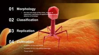 Virus ..pptx