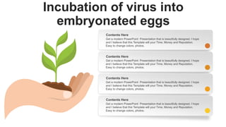 1. Chorioallantoic Membrane (CAM):
Inoculation is mainly in 10-13 day
Inoculation is mainly for growing poxvirus.
After in...