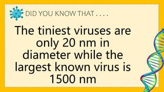 DID YOU KNOW THAT . . . .
The tiniest viruses are
only 20 nm in
diameter while the
largest known virus is
1500 nm
 