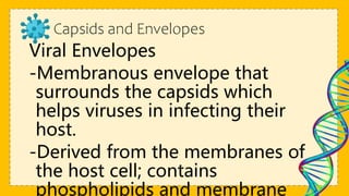 Capsids and Envelopes
Viral Envelopes
-Membranous envelope that
surrounds the capsids which
helps viruses in infecting their
host.
-Derived from the membranes of
the host cell; contains
phospholipids and membrane
 