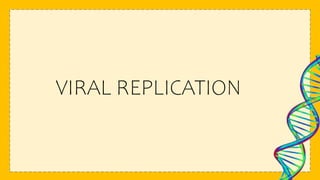 VIRAL REPLICATION
 