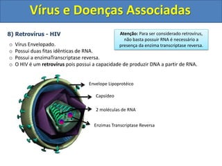 Vírus e Doenças Associadas
8) Retrovírus - HIV
o Vírus Envelopado.
o Possui duas fitas idênticas de RNA.
o Possui a enzimaTranscriptase reversa.
o O HIV é um retrovírus pois possui a capacidade de produzir DNA a partir de RNA.
Envelope Lipoprotéico
Capsídeo
2 moléculas de RNA
Enzimas Transcriptase Reversa
Atenção: Para ser considerado retrovírus,
não basta possuir RNA é necessário a
presença da enzima transcriptase reversa.
 