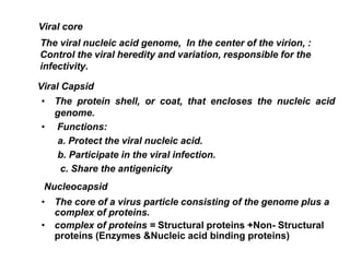 Viral core
The viral nucleic acid genome, In the center of the virion, :
Control the viral heredity and variation, responsible for the
infectivity.
Viral Capsid
• The protein shell, or coat, that encloses the nucleic acid
genome.
• Functions:
a. Protect the viral nucleic acid.
b. Participate in the viral infection.
c. Share the antigenicity
Nucleocapsid
• The core of a virus particle consisting of the genome plus a
complex of proteins.
• complex of proteins = Structural proteins +Non- Structural
proteins (Enzymes &Nucleic acid binding proteins)
 