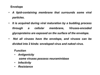 Envelope
• A lipid-containing membrane that surrounds some viral
particles.
• It is acquired during viral maturation by a budding process
through a cellular membrane, Viruses-encoded
glycoproteins are exposed on the surface of the envelope.
• Not all viruses have the envelope, and viruses can be
divided into 2 kinds: enveloped virus and naked virus.
Function
• Antigenicity
some viruses possess neuraminidase
• Infectivity
• Resistance
 