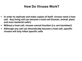  In order to replicate and make copies of itself, viruses need a host
cell. Any living cell can become a host cell (human, animal, plant,
and even bacterial cells!)
 Without a host cell, viruses cannot function (i.e.-are harmless!)
 Although any cell can theoretically become a host cell, specific
viruses will only infect specific cells
How Do Viruses Work?
 
