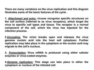 There are many variations on the virus replication and this diagram
illustrates some of the basic features of the cycle.
1. Attachment and entry: viruses recognise specific structures on
the cell surface (referred to as virus receptors), which target the
virus to specific cell types and tissue. The receptor is a normal
component of the cell, which the virus has hijacked for the
infection process.
2.Uncoating: The virion breaks open and releases the virus
genome nucleic acid into the host cell cytoplasm. Further
replication may take place in the cytoplasm or the nucleic acid may
migrate to the cell’s nucleus.
3. Transcription: Virus mRNA is produced using either cellular
enzymes or virus-coded enzymes.
4.Genome replication: This stage can take place in either the
cytoplasm or nucleus of the infected cell.
 