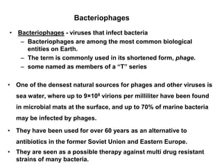 Bacteriophages
• Bacteriophages - viruses that infect bacteria
– Bacteriophages are among the most common biological
entities on Earth.
– The term is commonly used in its shortened form, phage.
– some named as members of a “T” series
• One of the densest natural sources for phages and other viruses is
sea water, where up to 9×108 virions per milliliter have been found
in microbial mats at the surface, and up to 70% of marine bacteria
may be infected by phages.
• They have been used for over 60 years as an alternative to
antibiotics in the former Soviet Union and Eastern Europe.
• They are seen as a possible therapy against multi drug resistant
strains of many bacteria.
 