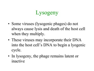 Lysogeny
• Some viruses (lysogenic phages) do not
always cause lysis and death of the host cell
when they multiply.
• These viruses may incorporate their DNA
into the host cell’s DNA to begin a lyogenic
cycle.
• In lysogeny, the phage remains latent or
inactive
 