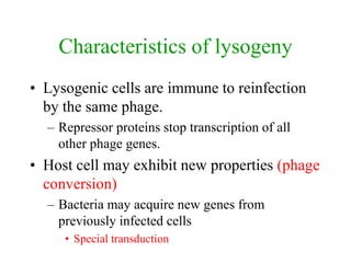 Characteristics of lysogeny
• Lysogenic cells are immune to reinfection
by the same phage.
– Repressor proteins stop transcription of all
other phage genes.
• Host cell may exhibit new properties (phage
conversion)
– Bacteria may acquire new genes from
previously infected cells
• Special transduction
 