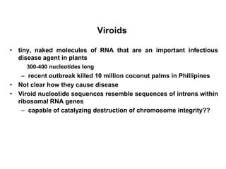 Viroids
• tiny, naked molecules of RNA that are an important infectious
disease agent in plants
– recent outbreak killed 10 million coconut palms in Phillipines
• Not clear how they cause disease
• Viroid nucleotide sequences resemble sequences of introns within
ribosomal RNA genes
– capable of catalyzing destruction of chromosome integrity??
300-400 nucleotides long
 