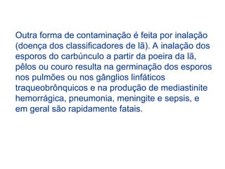 Outra forma de contaminação é feita por inalação
(doença dos classificadores de lã). A inalação dos
esporos do carbúnculo a partir da poeira da lã,
pêlos ou couro resulta na germinação dos esporos
nos pulmões ou nos gânglios linfáticos
traqueobrônquicos e na produção de mediastinite
hemorrágica, pneumonia, meningite e sepsis, e
em geral são rapidamente fatais.
 