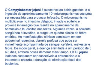 O Campylobacter jejuni é suscetível ao ácido gástrico, e a
ingestão de aproximadamente 104
microorganismos costuma
ser necessária para provocar infecção. O microorganismo
multiplica-se no intestino delgado, invade o epitélio e
provoca inflamação que resulta no aparecimento de
hemácias e leucócitos nas fezes. Algumas vezes, a corrente
sangüínea é invadida, e surge um quadro clínico de febre
entérica. As manifestações clínicas consistem em dor
abdominal repentina, diarréia profusa que pode ser
visivelmente acompanhada de sangue, cefaléia, mal-estar e
febre. De modo geral, a doença é limitada a um período de 5
a 8 dias, embora possa demorar mais tempo. Os C. jejuni
isolados costumam ser suscetíveis à eritromicina e o
tratamento encurta a duração da eliminação fecal das
bactérias.
 