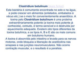 Clostridium botulinum (mais fotos)
Esta bactéria é comumente encontrada no solo e na água,
e pode crescer em alimentos (enlatados, embalados à
vácuo etc.) se o meio for convenientemente anaeróbico. A
toxina pelo Clostridium botulinum é uma proteína
extraordinariamente potente (a toxina mais potente já
conhecida), contudo, é termo-sensível e é destruída por
aquecimento adequado. Existem oito tipos diferentes da
toxina botulínica, e os tipos A, B e E são os mais comuns
em botulismo humano.
A toxina é absorvida pelo intestino e levada para os nervos
motores, onde bloqueia a liberação de acetilcolina nas
sinapses e nas junções neuromusculares. Não ocorre
contração muscular, e o resultado é a paralisia.
 