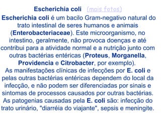 Escherichia coli (mais fotos)
Escherichia coli é um bacilo Gram-negativo natural do
trato intestinal de seres humanos e animais
(Enterobacteriaceae). Este microorganismo, no
intestino, geralmente, não provoca doenças e até
contribui para a atividade normal e a nutrição junto com
outras bactérias entéricas (Proteus, Morganella,
Providencia e Citrobacter, por exemplo).
As manifestações clínicas de infecções por E. coli e
pelas outras bactérias entéricas dependem do local da
infecção, e não podem ser diferenciadas por sinais e
sintomas de processos causados por outras bactérias.
As patogenias causadas pela E. coli são: infecção do
trato urinário, "diarréia do viajante", sepsis e meningite.
 