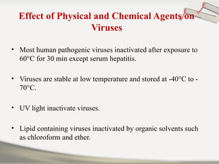 Effect of Physical and Chemical Agents on
Viruses
• Most human pathogenic viruses inactivated after exposure to
60°C for 30 min except serum hepatitis.
• Viruses are stable at low temperature and stored at -40°C to -
70°C.
• UV light inactivate viruses.
• Lipid containing viruses inactivated by organic solvents such
as chloroform and ether.
 