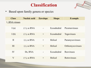 Classification
• Based upon family genera or species
Class Nucleic acid Envelope Shape Example
1. RNA viruses
I (a) (+), ss RNA - Ecosahedral Picornaviruses
I (b) (+), ss RNA + Ecosahedral Togaviruses
II (-), ss RNA + Helical Paramyxoviruses
III (-), ss RNA + Helical Orthomyxoviruses
IV Ds, RNA - Ecosahedral Reoviruses
V (+), ss RNA + Helical Retroviruses
 