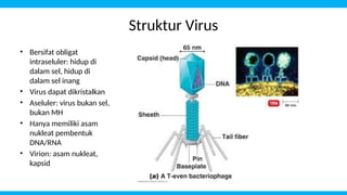materi virus kelas 10 kurikulum merdekaa | PPTX