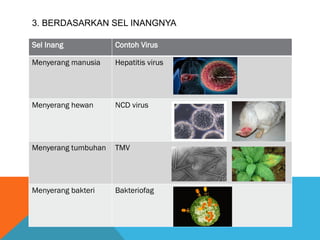 Sel Inang penjelasan mengenai virus dan perannya dalam kehidupan | PPTX