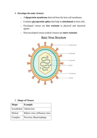 🦠 VIRUS Defination, morphology, lab diagnosis | PDF