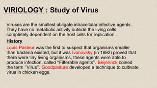Virus Notes.pdf VIRUS notes to study for examination .pptx