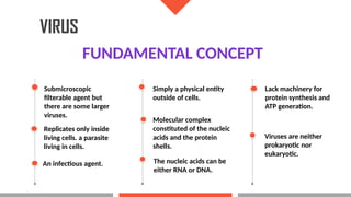 Filterable Virus HUMAN VIRUS: FUNDAMENTAL CONCEPT, STRUCTURE, LIFE CYCLE, BALTIMORE ...