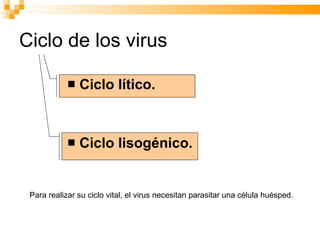 Ciclo de los virus Ciclo lítico. Ciclo lisogénico. Para realizar su ciclo vital, el virus necesitan parasitar una célula huésped.  