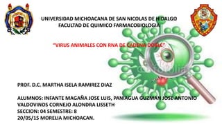UNIVERSIDAD MICHOACANA DE SAN NICOLAS DE HIDALGO
FACULTAD DE QUIMICO FARMACOBIOLOGIA
“VIRUS ANIMALES CON RNA DE CADENA DOBLE”
PROF. D.C. MARTHA ISELA RAMIREZ DIAZ
ALUMNOS: INFANTE MAGAÑA JOSE LUIS, PANIAGUA GUZMAN JOSE ANTONIO
VALDOVINOS CORNEJO ALONDRA LISSETH
SECCION: 04 SEMESTRE: 8
20/05/15 MORELIA MICHOACAN.
 
