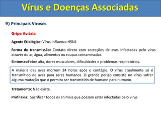 Vírus e Doenças Associadas
9) Principais Viroses
Gripe Aviária
Agente Etiológico: Vírus Influenza H5N1
Forma de transmissão: Contato direto com secreções de aves infectadas pelo vírus
através do ar, água, alimentos ou roupas contaminadas.
Sintomas:Febre alta, dores musculares, dificuldades e problemas respiratórios.
Tratamento: Não existe.
Profilaxia: Sacrificar todos os animais que possam estar infectadas pelo vírus.
A maioria das aves morrem 24 horas após o contágio. O vírus atualmente só é
transmitido de aves para seres humanos. O grande perigo consiste no vírus sofrer
alguma mutação que o permita ser transmitido de humano para humano.
 