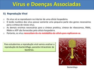 Vírus e Doenças Associadas
5) Reprodução Viral
o Os vírus só se reproduzem no interior de uma célula hospedeira.
o O ácido nucléico dos vírus possui somente uma pequena parte dos genes necessários
para a síntese de novos vírus.
o As demais enzimas necessárias para a síntese protéica, síntese de ribossomos, RNAt,
RNAm e ATP são fornecidas pela célula hospedeira.
o Portanto, os vírus necessitam da via metabólica da célula para replicarem-se.
Para estudarmos a reprodução viral vamos analisar a
reprodução do bacteriófago, parasita intracelular de
bactérias.
Bacteriófago
 