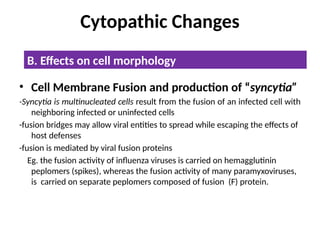 Syncitia Virus-Cell-Intraction PowerPoint presentation | PPTX