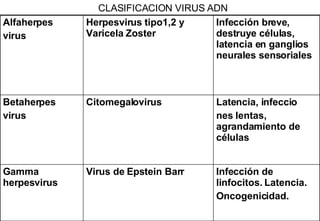 CLASIFICACION VIRUS ADN Infección de linfocitos. Latencia. Oncogenicidad. Virus de Epstein Barr Gamma herpesvirus Latencia, infeccio nes lentas, agrandamiento de células Citomegalovirus Betaherpes virus Infección breve, destruye células, latencia en ganglios neurales sensoriales Herpesvirus tipo1,2 y Varicela Zoster Alfaherpes virus 