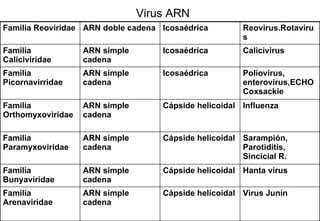 Virus ARN Virus Junín Cápside helicoidal ARN simple cadena Familia Arenaviridae Hanta virus Cápside helicoidal ARN simple cadena Familia Bunyaviridae Sarampión, Parotiditis, Sincicial R. Cápside helicoidal ARN simple cadena Familia Paramyxoviridae Influenza Cápside helicoidal ARN simple cadena Familia Orthomyxoviridae Poliovirus, enterovirus,ECHOCoxsackie Icosaédrica ARN simple cadena Familia Picornavirridae Calicivirus Icosaédrica ARN simple cadena Familia Caliciviridae Reovirus.Rotavirus Icosaédrica ARN doble cadena Familia Reoviridae 