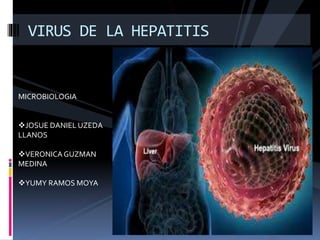 VIRUS DE LA HEPATITIS
MICROBIOLOGIA
JOSUE DANIEL UZEDA
LLANOS
VERONICAGUZMAN
MEDINA
YUMY RAMOS MOYA
 
