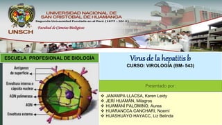 Facultad de Ciencias Biológicas
ESCUELA PROFESIONAL DE BIOLOGÍA Virus de la hepatitis b
CURSO: VIROLOGÍA (BM- 543)
-
 JANAMPA LLACSA, Karen Leidy
 JERÍ HUAMÁN, Milagros
 HUAMANÍ PALOMINO, Aurea
 HUARANCCA CANCHARI, Noemí
 HUASHUAYO HAYACC, Liz Belinda
Presentado por:
 