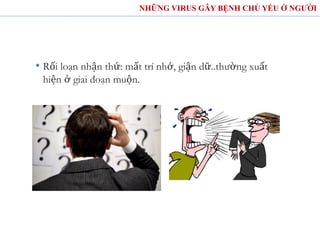 • Rối loạn nhận thứ: mất trí nhớ, giận dữ..thường xuất
hiện ở giai đoạn muộn.
NHỮNG VIRUS GÂY BỆNH CHỦ YẾU Ở NGƯỜI
 