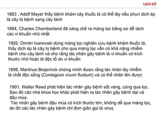 LỊCH SỬ
1883 , Adolf Mayer thấy bệnh khảm cây thuốc lá có thể lây nếu phun dịch ép
lá cây bị bệnh sang cây lành
1884, Charles Chamberland đã sáng chế ra màng lọc bằng sứ để tách
các vi khuẩn nhỏ nhất
1892, Dimitri Ivanovski dùng màng lọc nghiên cứu bệnh khảm thuốc lá,
thấy dịch ép lá cây bị bệnh cho qua màng lọc vẫn có khả năng nhiễm
bệnh cho cây lành và cho rằng tác nhân gây bệnh là vi khuẩn có kích
thước nhỏ hoặc là độc tố do vi khuẩn
1898, Martinus Beijerinck chứng minh được rằng tác nhân lây nhiễm
là chất độc sống (Contagium vivum fluidum) và có thể nhân lên được
1901, Walter Reed phát hiện tác nhân gây bệnh sốt vàng, cũng qua lọc.
Sau đó các nhà khoa học khác phát hiện ra tác nhân gây bệnh dại và
đậu mùa.
Tác nhân gây bênh đậu mùa có kích thước lớn, không dễ qua màng lọc,
do đó các tác nhân gây bệnh chỉ đơn giản gọi là virus.
 