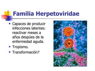 Familia Herpetoviridae Capaces de producir infecciones latentes: reactivar meses a años despúes de la enfermedad aguda. Tropismo. Transformación? 