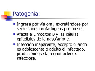 Patogenia: Ingresa por vía oral, excretándose por secreciones orofaríngeas por meses. Afecta a Linfocitos B y las células epiteliales de la nasofaringe. Infección inaparente, excepto cuando es adolescente ó adulto el infectado, produciéndose la mononucleosis infecciosa. 