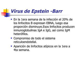 Virus de Epstein -Barr En la 1era semana de la infección el 20% de los linfocitos B expresan EBNA, luego esa proporción disminuye.Esos linfocitos producen inmunoglobulinas IgA e IgG, así como IgM heterófilos. Compromiso de todo el sistema reticuloendotelial. Aparición de linfocitos atípicos en la 1era a 4ta semana. 