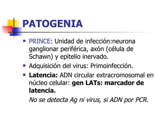 PATOGENIA PRINCE : Unidad de infección:neurona ganglionar periférica, axón (célula de Schawn) y epitelio inervado. Adquisición del virus: Primoinfección. Latencia:  ADN circular extracromosomal en núcleo celular:  gen LATs: marcador de latencia.  No se detecta Ag ni virus, si ADN por PCR. 