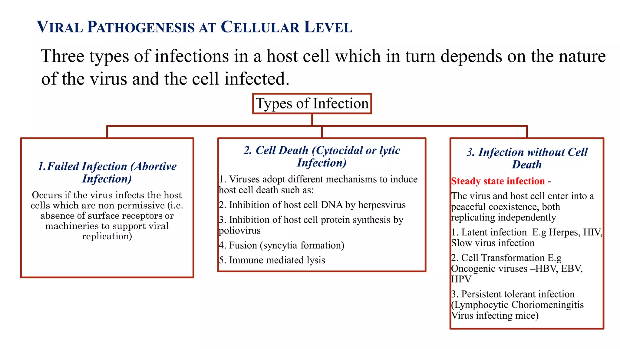 Virus host infection-module 1.1 | PPTX