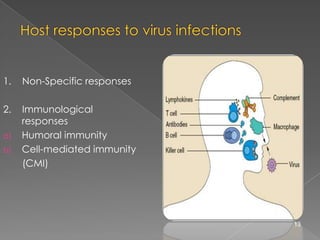 1.

Non-Specific responses

2.

Immunological
responses
Humoral immunity
Cell-mediated immunity
(CMI)

a)
b)

13

 