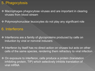 5. Phagocytosis
 Macrophages phagocytose viruses and are important in clearing
viruses from blood stream

 Polymorphonuclear leucocytes do not play any significant role

6. Interferons
 Interferons are a family of glycoproteins produced by cells on
induction by viral or nonviral inducers
 Interferon by itself has no direct action on viruses but acts on other
cells of the same species, rendering them refractory to viral infection
 On exposure to interferon, cells produce a protein (translation
inhibiting protein, TIP) which selectively inhibits translation of
viral mRNA

 