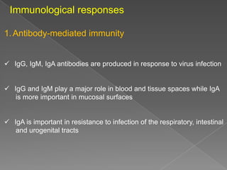 Immunological responses
1. Antibody-mediated immunity
 IgG, IgM, IgA antibodies are produced in response to virus infection

 IgG and IgM play a major role in blood and tissue spaces while IgA
is more important in mucosal surfaces

 IgA is important in resistance to infection of the respiratory, intestinal
and urogenital tracts

 